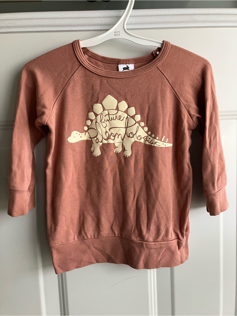 Little & lively dinosaur pink pullover bamboo made in Canada 1T 2T